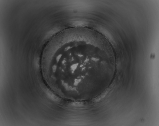 X0000102000353200807181210