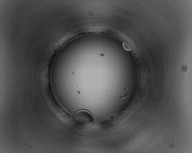 X0000102000354200807181210