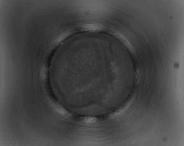 X0000102000355200807181210