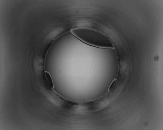 X0000102000356200807181210