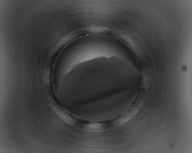 X0000102000357200807181210