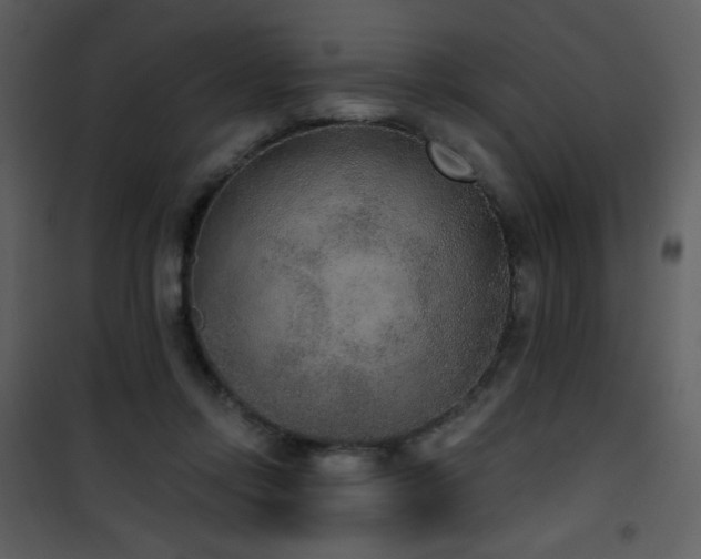 X0000102000358200807181210