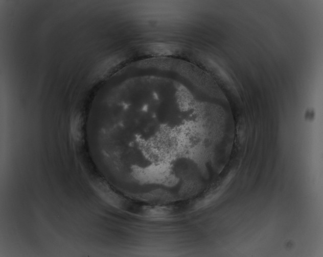 X0000102000359200807181210