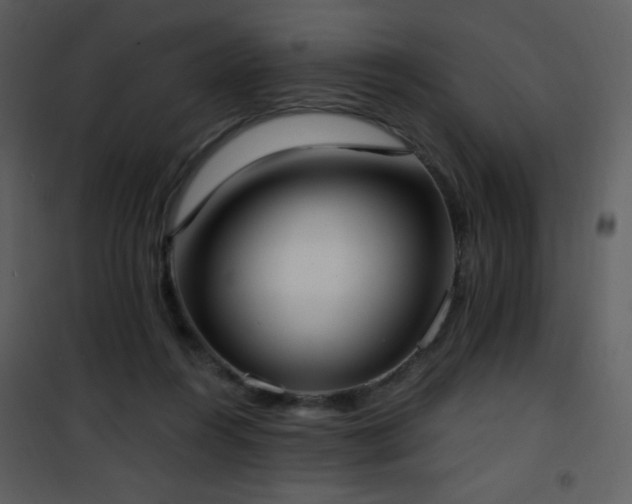 X0000102000360200807181210