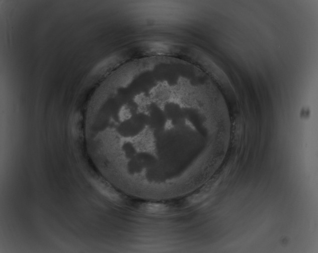 X0000102000361200807181210