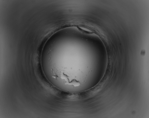 X0000102000362200807181210