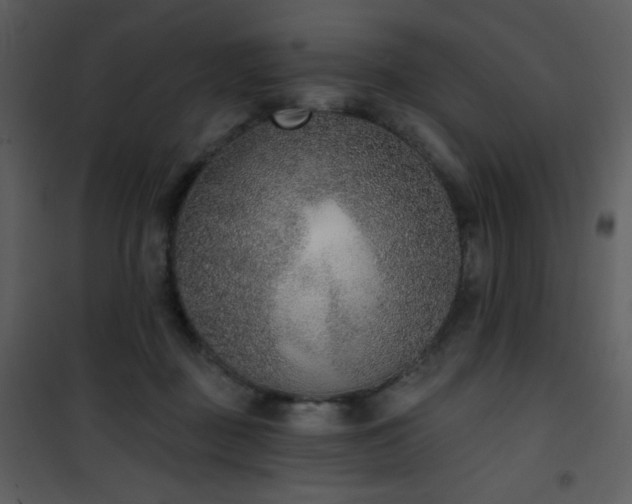 X0000102000363200807181210