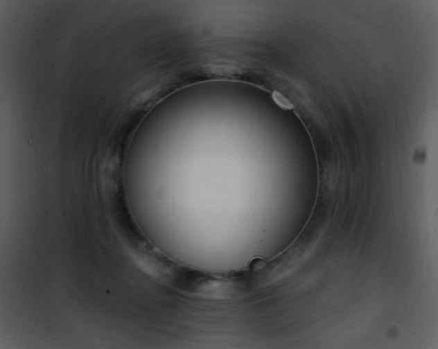 X0000102000364200807181210