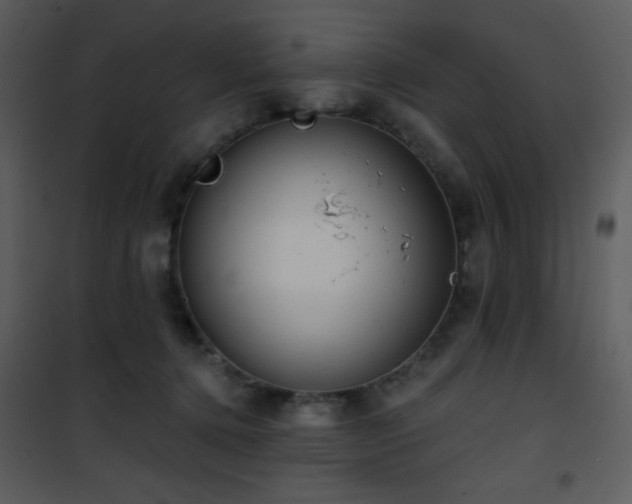 X0000102000368200807181210