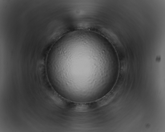 X0000102000369200807181210