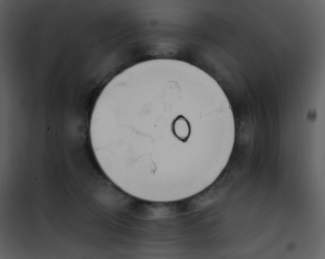 X0000102000370200807181210