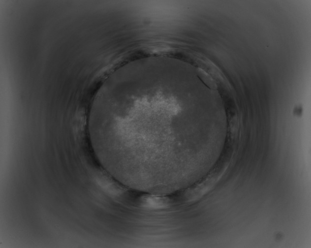 X0000102000372200807181210