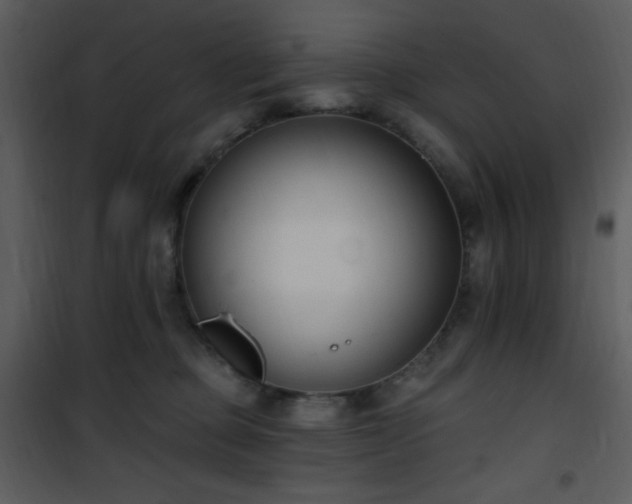 X0000102000373200807181210