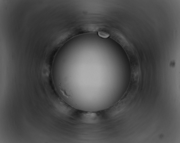 X0000102000374200807181210