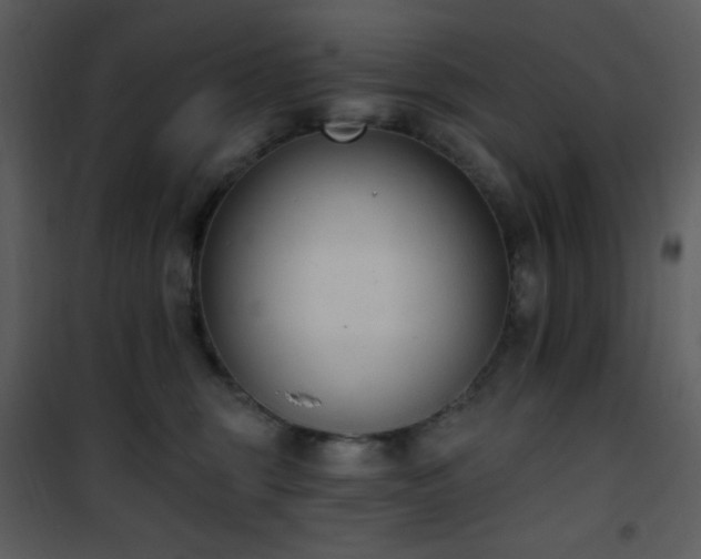 X0000102000375200807181210