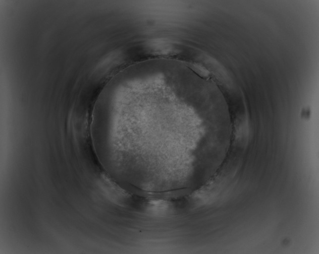 X0000102000376200807181210