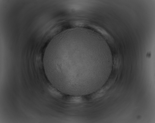 X0000102000377200807181210