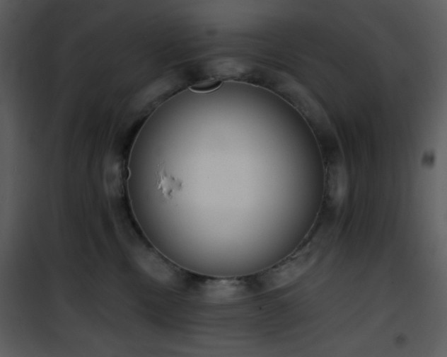 X0000102000378200807181210