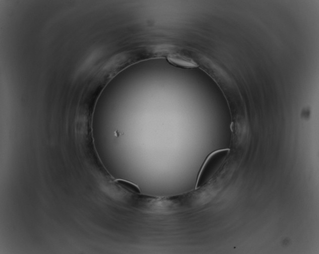 X0000102000379200807181210