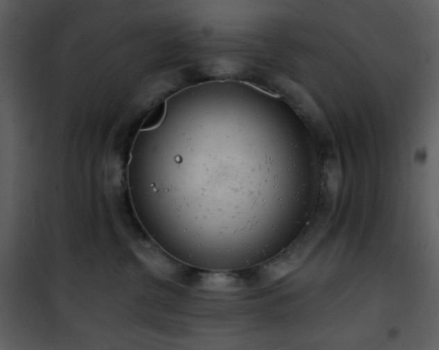 X0000102000380200807181210