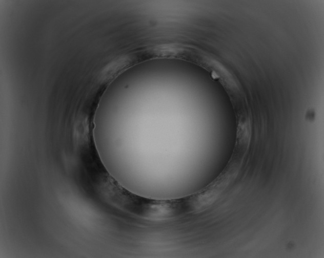 X0000102000381200807181210