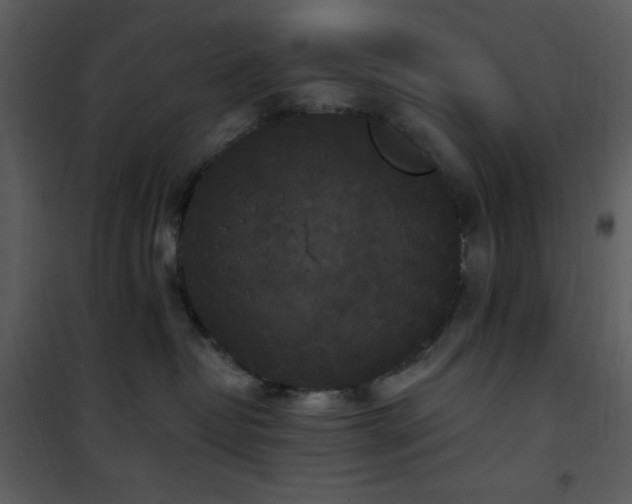 X0000102000382200807181210