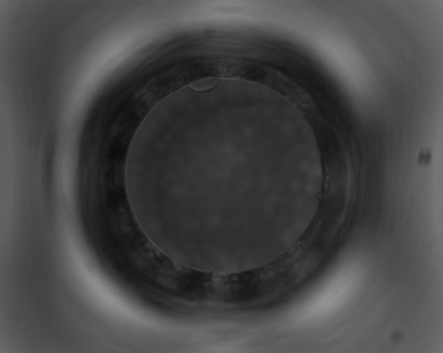 X0000102000383200807181210