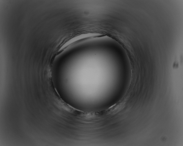 X0000102000384200807181210