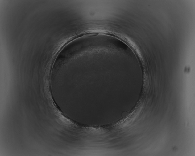 X0000102000385200807181210