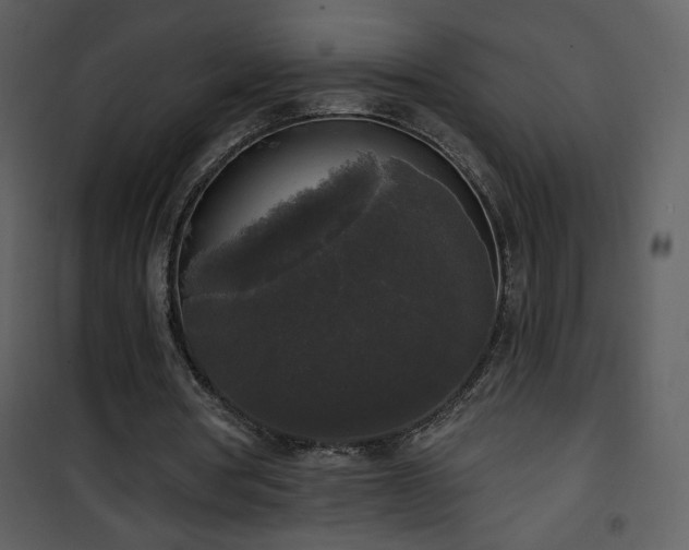 X0000102000386200807181210