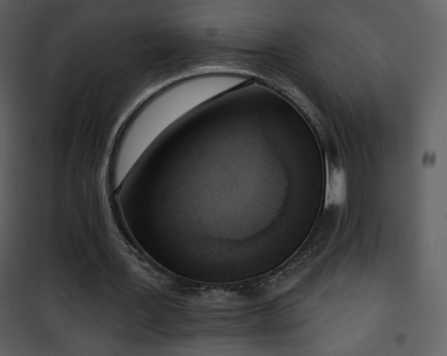 X0000102000387200807181210