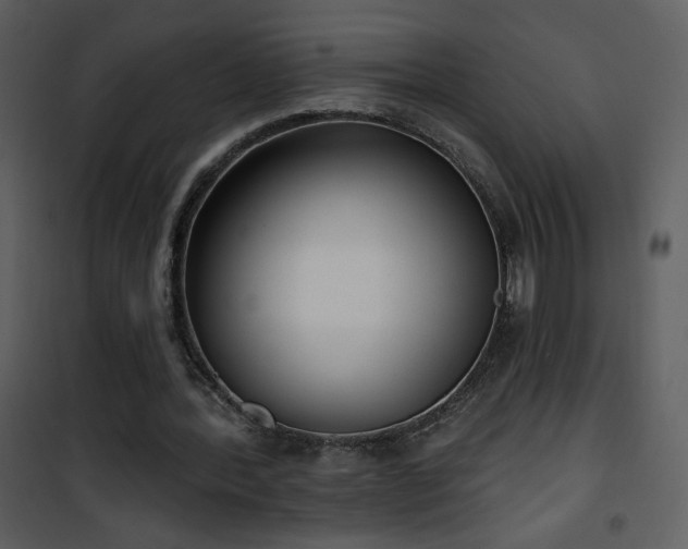 X0000102000388200807181210