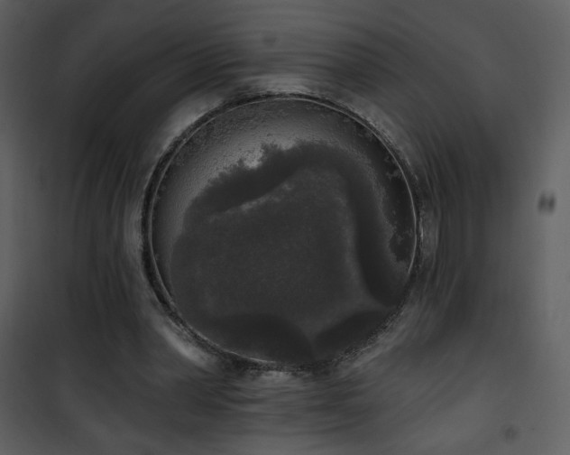 X0000102000390200807181210