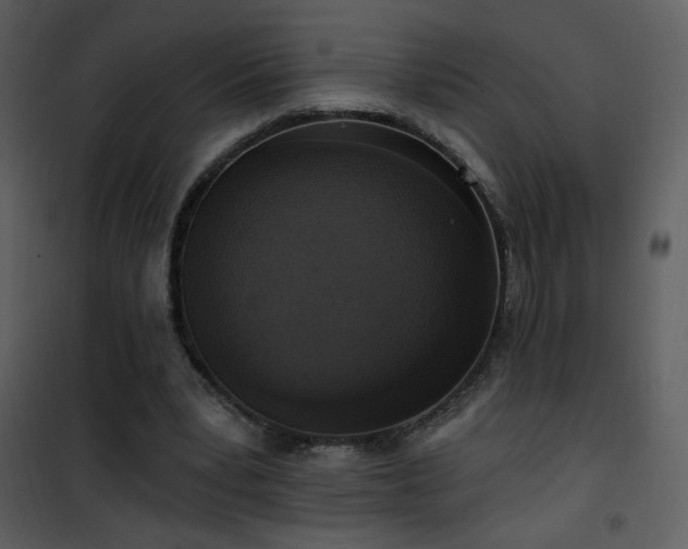 X0000102000391200807181210