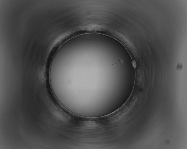 X0000102000392200807181210