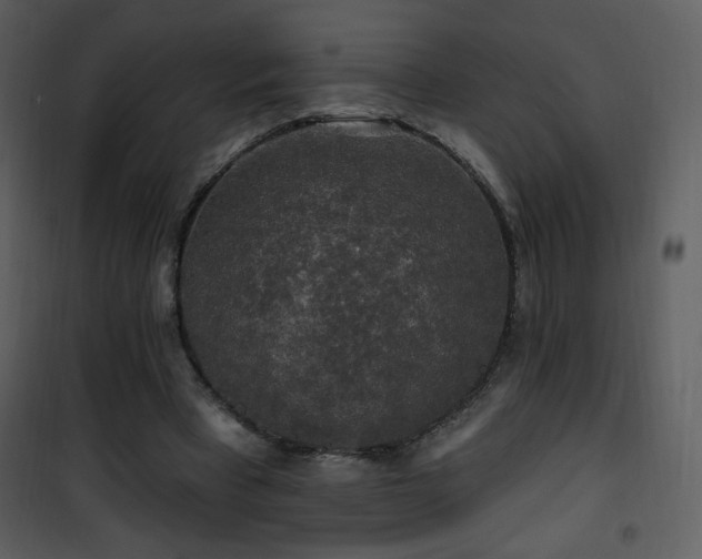 X0000102000393200807181210