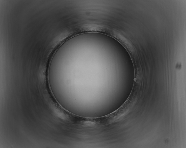 X0000102000394200807181210