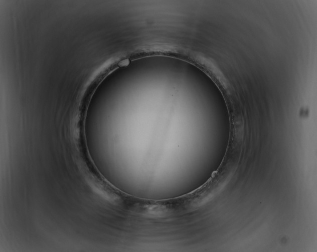 X0000102000395200807181210