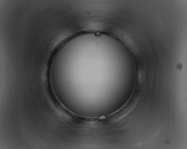 X0000102000396200807181210