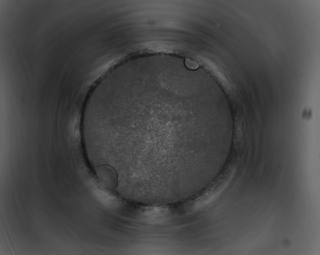 X0000102000398200807181210