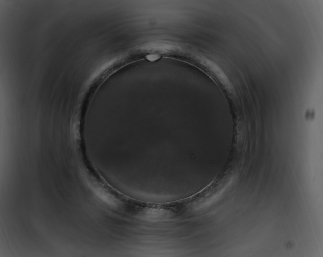 X0000102000399200807181210