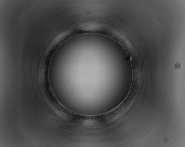 X0000102000400200807181209