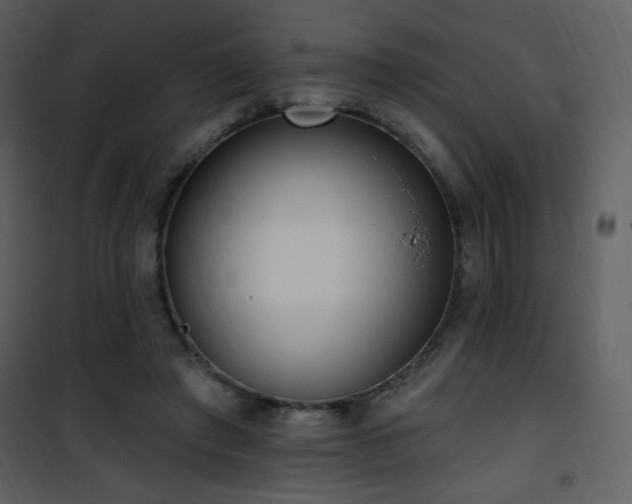 X0000102000401200807181209