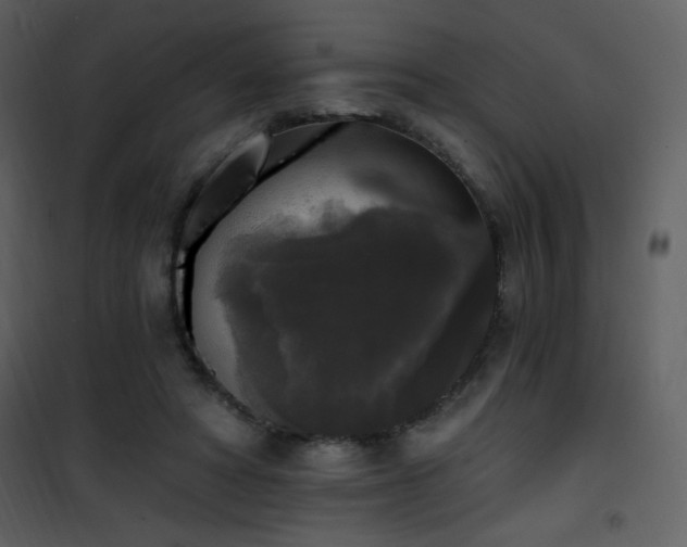 X0000102000402200807181209