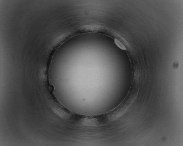 X0000102000403200807181209