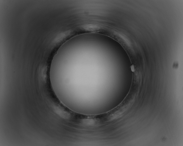 X0000102000404200807181209