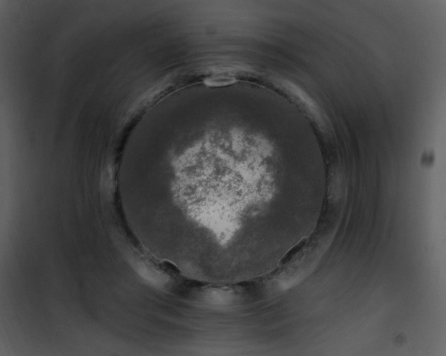 X0000102000405200807181209