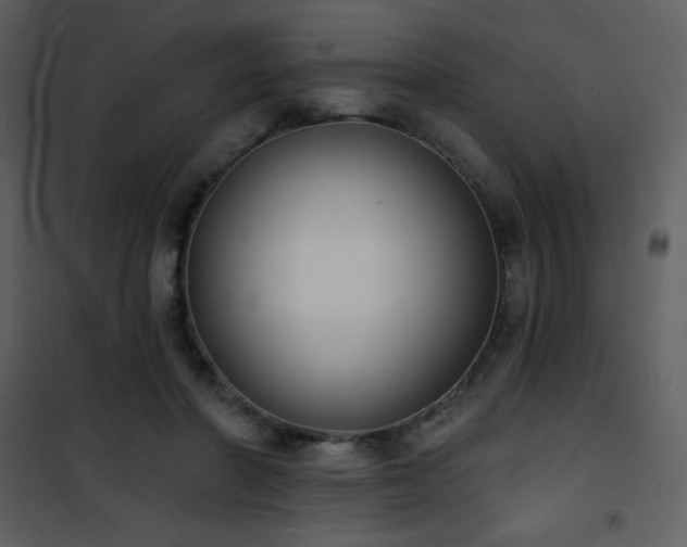 X0000102000406200807181209