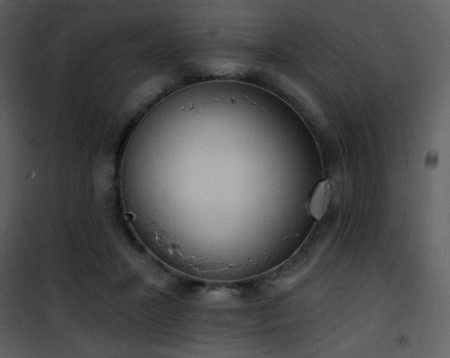 X0000102000407200807181209