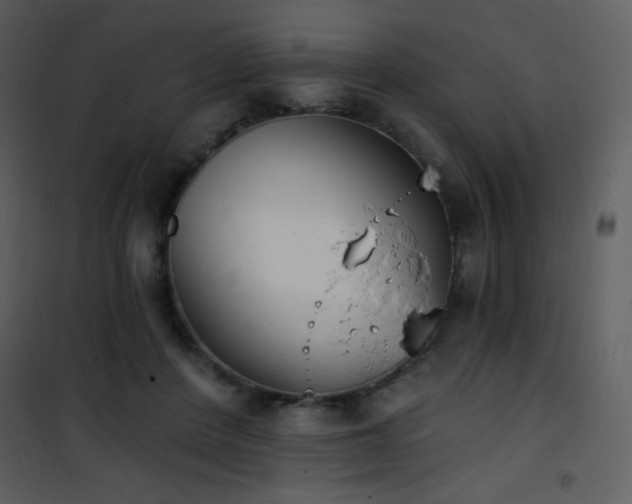 X0000102000408200807181209